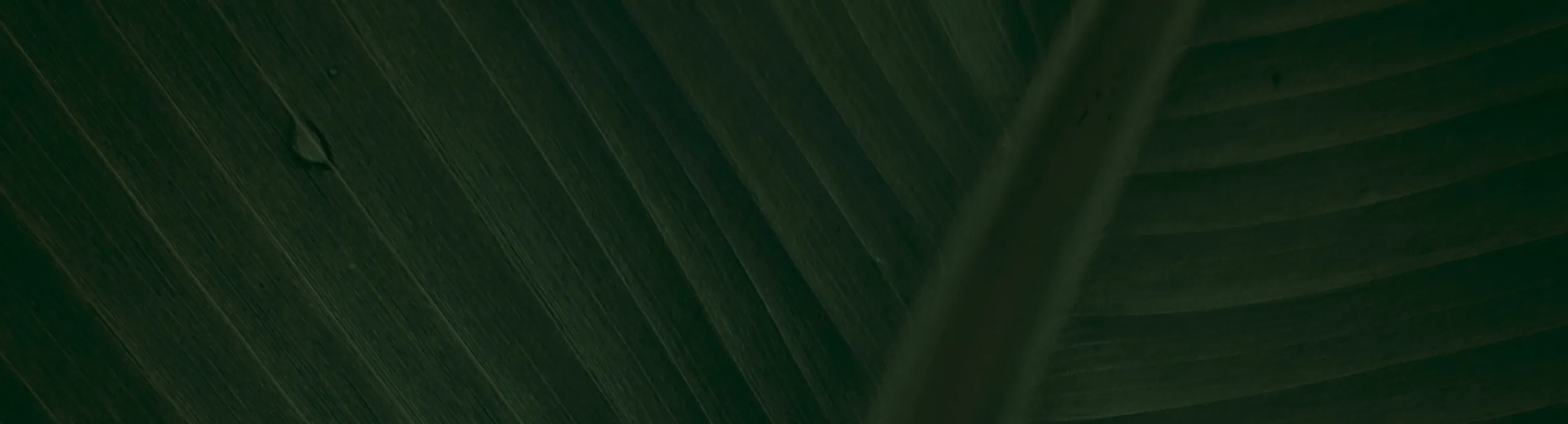 hero-image_optimized ركنة الجوهرة العصرية