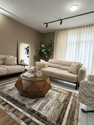 غرفة معيشة البهجة العصرية